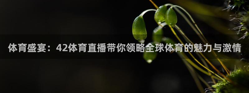 体育盛宴：42体育直播带你领略全球体育的魅力与激情