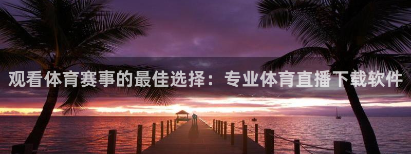 观看体育赛事的最佳选择：专业体育直播下载软件