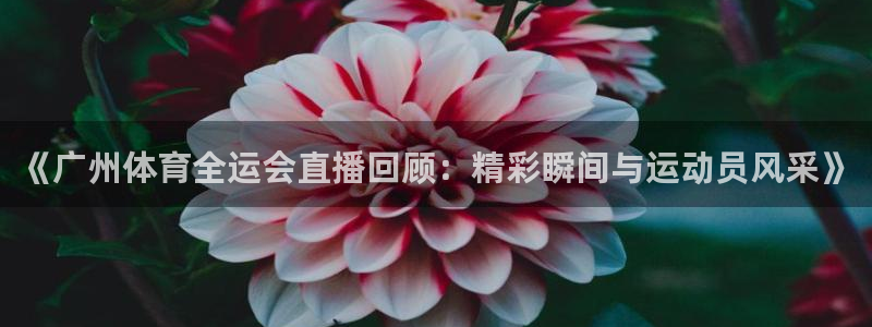 《广州体育全运会直播回顾：精彩瞬间与运动员风采》