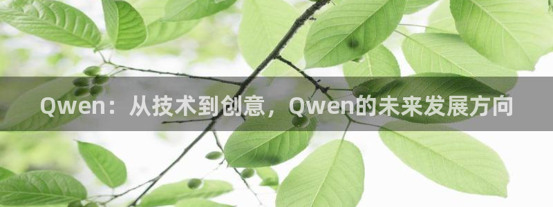 Qwen：从技术到创意，Qwen的未来发展方向