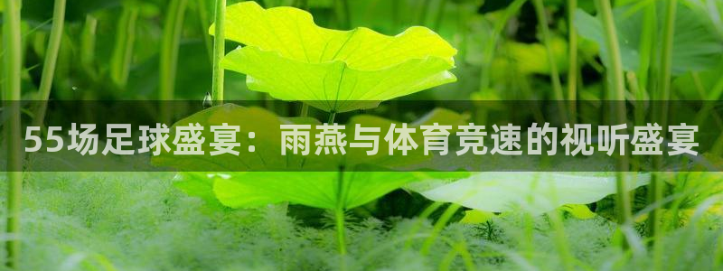 55场足球盛宴：雨燕与体育竞速的视听盛宴