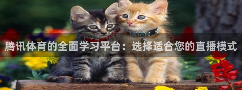 腾讯体育的全面学习平台：选择适合您的直播模式