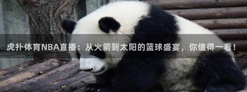 虎扑体育NBA直播：从火箭到太阳的篮球盛宴，你值得一看！