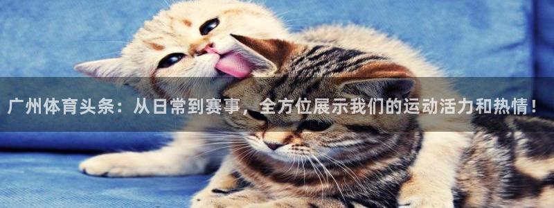 广州体育头条：从日常到赛事，全方位展示我们的运动活力和热情！