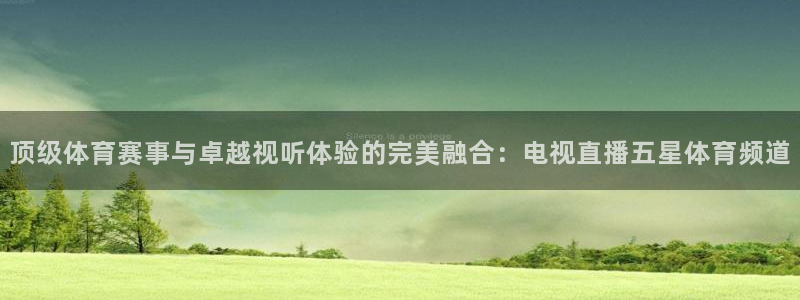 顶级体育赛事与卓越视听体验的完美融合：电视直播五星体育频道