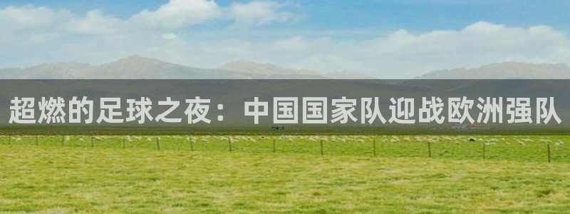 超燃的足球之夜：中国国家队迎战欧洲强队