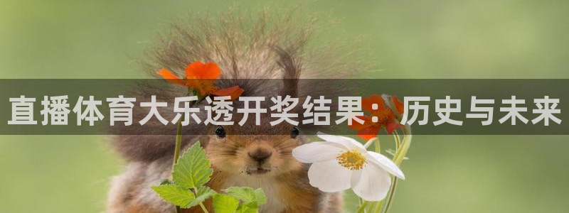 直播体育大乐透开奖结果：历史与未来