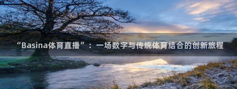 “Basina体育直播”：一场数字与传统体育结合的创新旅程