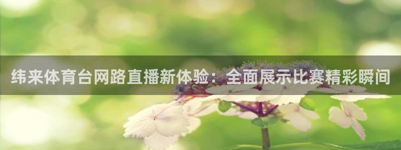 纬来体育台网路直播新体验：全面展示比赛精彩瞬间