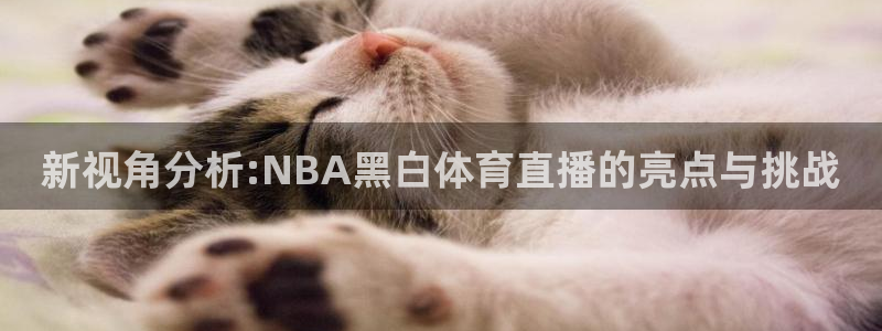 新视角分析:NBA黑白体育直播的亮点与挑战