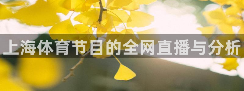 上海体育节目的全网直播与分析
