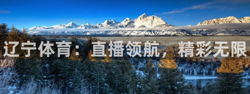 辽宁体育：直播领航，精彩无限