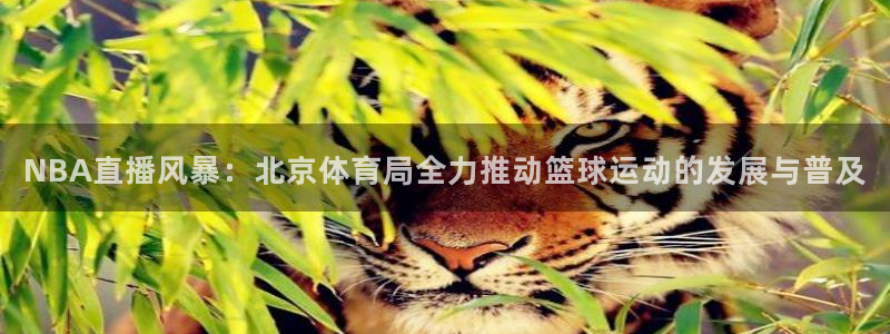 NBA直播风暴：北京体育局全力推动篮球运动的发展与普及