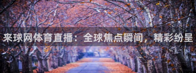 来球网体育直播：全球焦点瞬间，精彩纷呈
