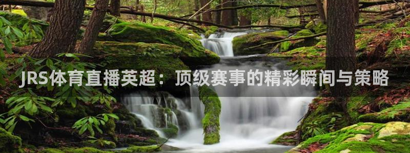 JRS体育直播英超：顶级赛事的精彩瞬间与策略