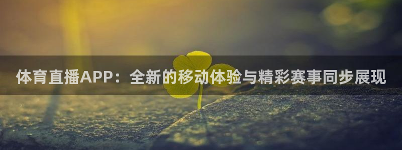 体育直播APP：全新的移动体验与精彩赛事同步展现