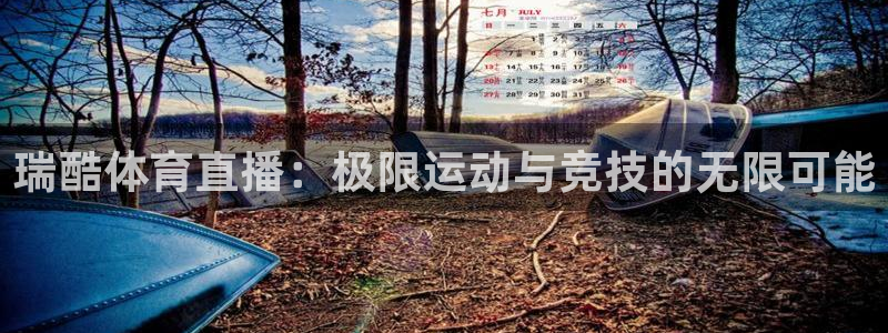 瑞酷体育直播：极限运动与竞技的无限可能