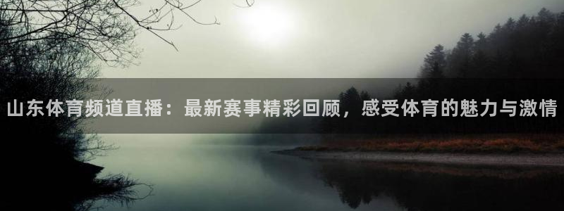山东体育频道直播：最新赛事精彩回顾，感受体育的魅力与激情