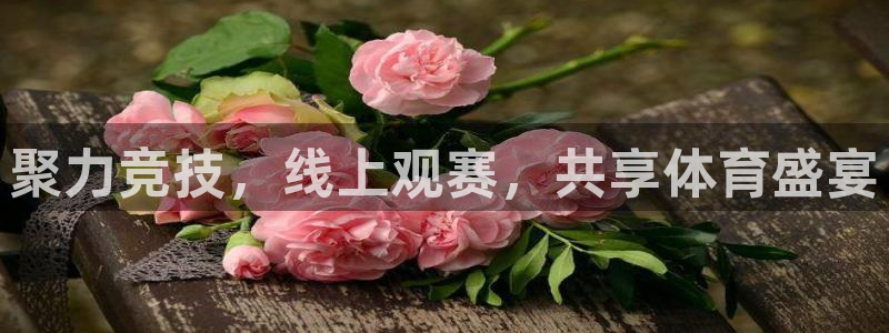 聚力竞技，线上观赛，共享体育盛宴