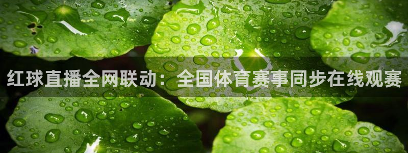 红球直播全网联动：全国体育赛事同步在线观赛
