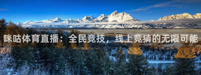 咪咕体育直播：全民竞技，线上竞猜的无限可能