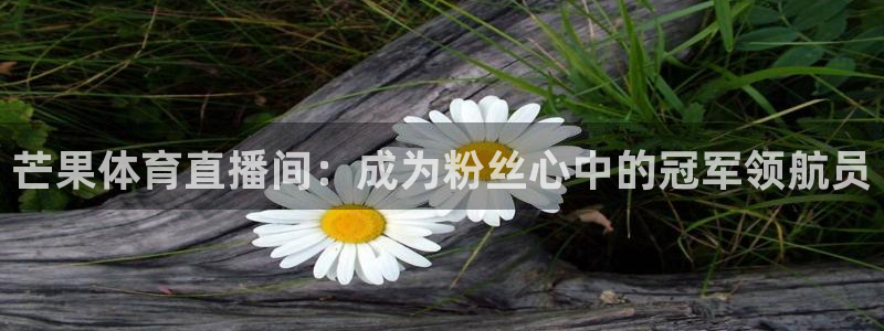 芒果体育直播间：成为粉丝心中的冠军领航员