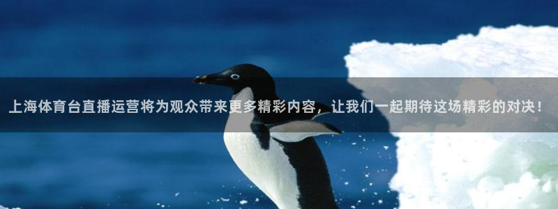 上海体育台直播运营将为观众带来更多精彩内容，让我们一起期待这场精彩的对决！