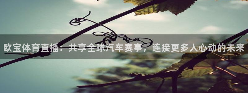 欧宝体育直播：共享全球汽车赛事，连接更多人心动的未来